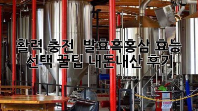 활력 충전! ✨ 발효흑홍삼 효능 & 선택 꿀팁 (내돈내산 후기)